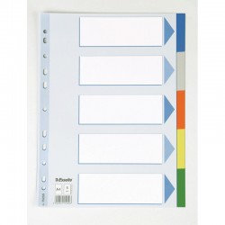 ESSELTE 15259 SEPERATÖR A4 5 RENKLİ ASORTİ
