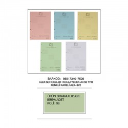 ALEX ALX-872 KOLEJ YEDEK A4 KARELİ RENKLİ