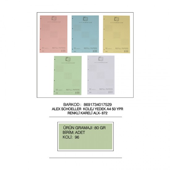 ALEX ALX-872 KOLEJ YEDEK A4 KARELİ RENKLİ