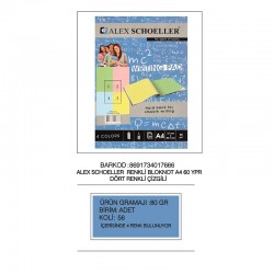 ALEX ALX-7666 BLOKNOT A4 RENKLİ 80GR 60YP ÇİZGİLİ