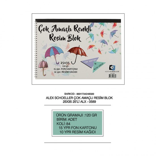 ALEX ALX-589 SPR RESİM DEF 25X35 120GR 25Lİ