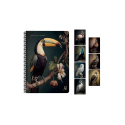 GIPTA 7058 NATURA SPR KRTN KPK DEF A4 80YP KARELİ