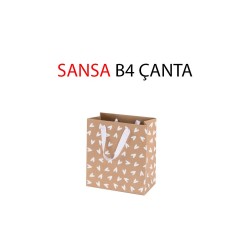 GIPTA BG0857 B4 SANSA KARTON ÇANTA