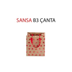 GIPTA BG0856 B3 SANSA KARTON ÇANTA