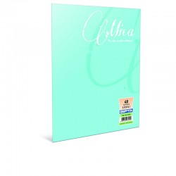 GIPTA 2488 MICA DKŞ PP KPK DEF A4 100YP ÇİZGİLİ