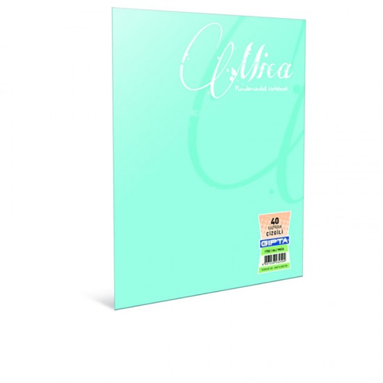 GIPTA 2488 MICA DKŞ PP KPK DEF A4 100YP ÇİZGİLİ