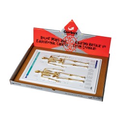 GÜRBÜZ 31010 ANATOMİ LEVHALARI 35X50