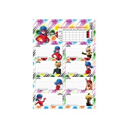 KESKİN 220130-84 LADY BUG DERS PROGRAMLI 3LÜ ETİKET