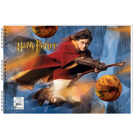 KESKİN 300315-07 35X50 15YP HARY POTTER RESİM DEFTERİ