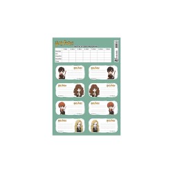KESKİN 220130-07 HARRY POTTER DERS PROGRAMLI 3LÜ ETİKET