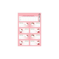 KESKİN 220130-08 HELLO KİTTY DERS PROGRAMLI 3LÜ ETİKET