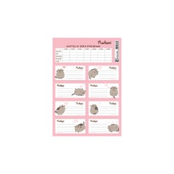 KESKİN 220130-10 PUSHEEN DERS PROGRAMLI 3LÜ ETİKET