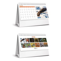 KESKİN 600133-99 2026 MTK-824 KARTON ÜÇGEN MASA TAKVİM KUŞLAR