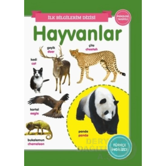 06 YAŞ YAYINLARI / HAYVANLAR - İLK BİLGİLERİM DİZİSİ