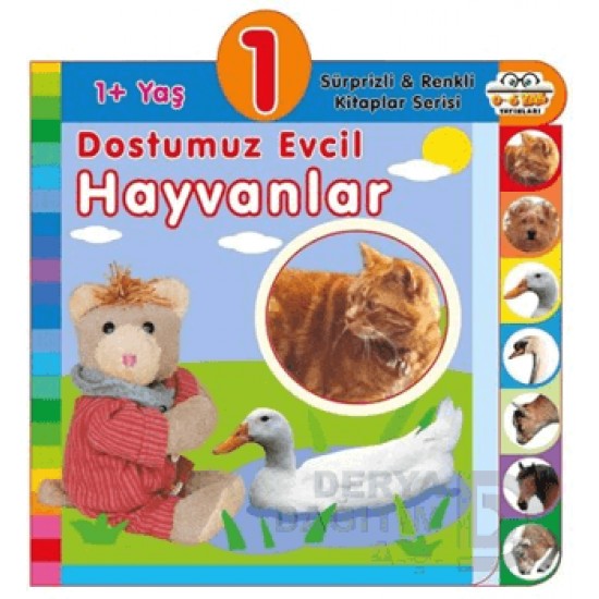 06 YAŞ YAYINLARI / DOSTUMUZ EVCİL HAYVANLAR - 1+ YAŞ