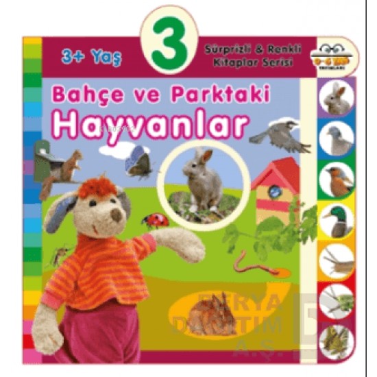 06 YAŞ YAY / BAHÇE VE PARKTAKİ HAYVANLAR - 3+ YAŞ