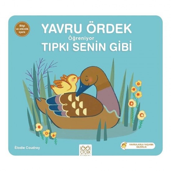 1001 ÇİÇEK /  YAVRU ÖRDEK ÖĞRENİYOR