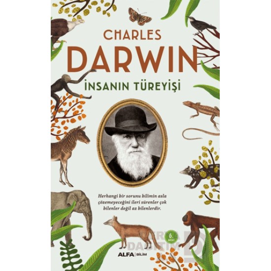 ALFA / İNSANIN TÜREYİŞİ
