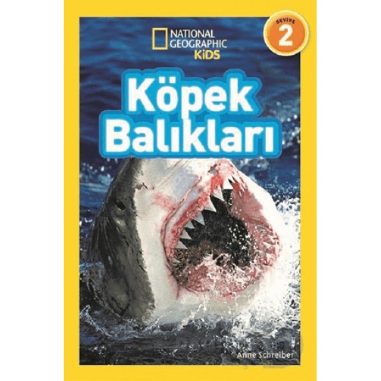BETA KİDS / KÖPEK BALIKLARI