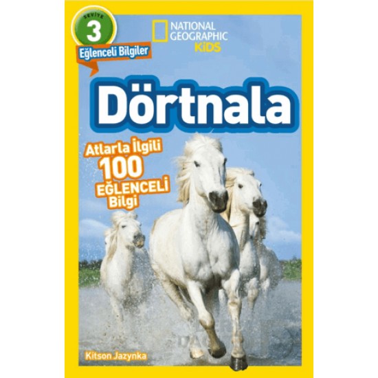 BETA KİDS / DÖRTNALA - EĞLENCELİ BİLGİLER SEVİYE 3