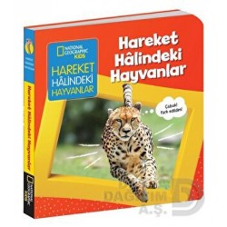 BETA / HAREKET HALİNDEKİ HAYVANLAR