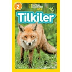 BETA KİDS /  TİLKİLER