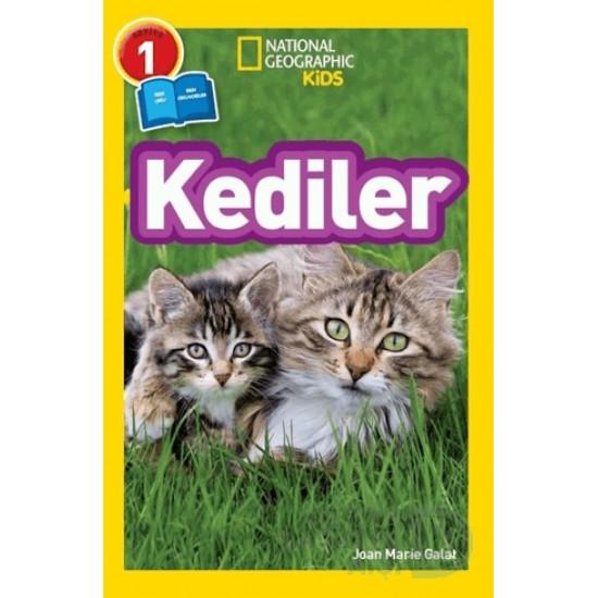 BETA KİDS /  KEDİLER