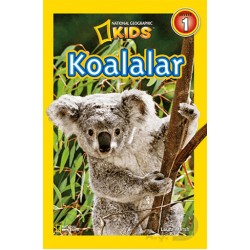 BETA KİDS / KOALALAR - SEVİYE 1