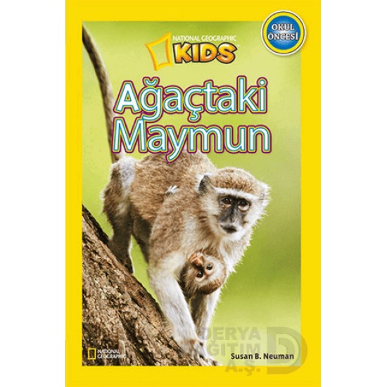 BETA KİDS / AĞAÇTAKİ MAYMUN - OKUL ÖNCESİ