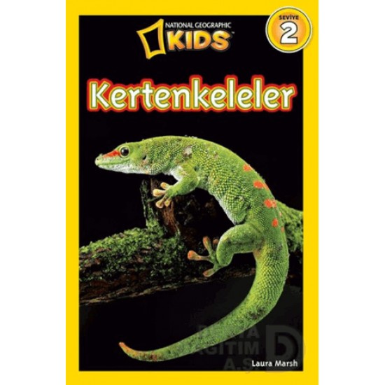 BETA KİDS / KERTENKELELER - (NG KIDS)