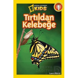 BETA / TIRTILDAN KELEBEĞE