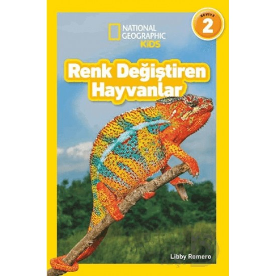 BETA NATIONALG / RENK DEĞİŞTİREN HAYVABLAR - SEVİYE 2