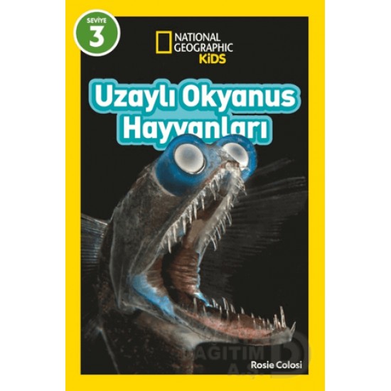 BETA NATIONALG / UZAYLI OKYANUS HAYVANLARI - SEVİYE 3