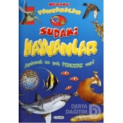 ÇİÇEK / MERAKLI PENCERELER D.SUDAKİ HAYVANLAR