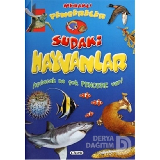 ÇİÇEK / MERAKLI PENCERELER D.SUDAKİ HAYVANLAR