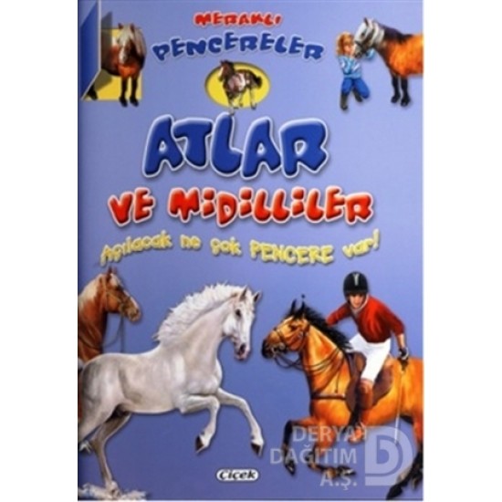 ÇİÇEK / MERAKLI PENCERELER D. ATLAR VE MİDİLLİLER