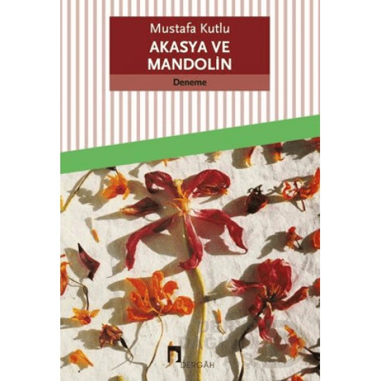DERGAH / AKASYA VE MANDOLİN