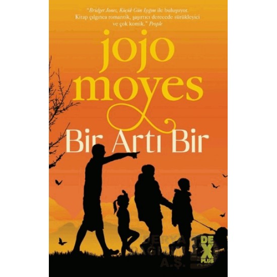 DEX / BİR ARTI BİR