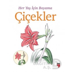 EDAM / HER YAŞ İÇİN BOYAMA - ÇİÇEKLER