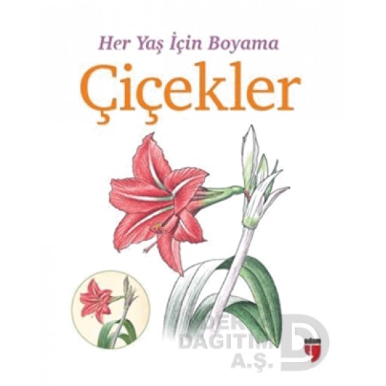 EDAM / HER YAŞ İÇİN BOYAMA - ÇİÇEKLER