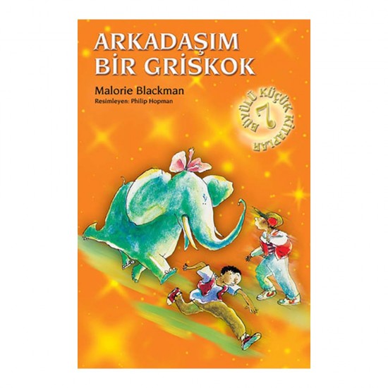 GÜNIŞIĞI / ARKADAŞIM BİR GRİSKOK