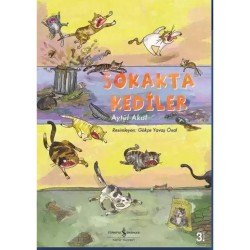 İŞBANKASI / SOKAKTA KEDİLER / AYTÜL AKAL