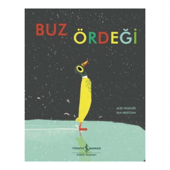 İŞBANKASI / BUZ ÖRDEĞİ