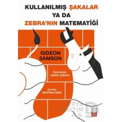 KIRMIZI KEDİ / KULLANILMIŞ ŞAKALAR YA DA ZEBRANIN MATEMATİĞİ