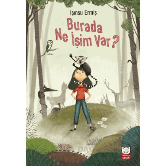 KIRMIZI KEDİ / BURADA NE İŞİM VAR ?