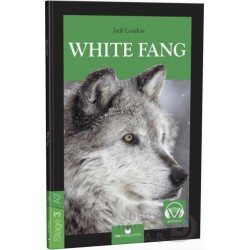 MK /  STAGE 3 -  A2 WHITE FANG