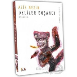 NESİN / DELİLER BOŞANDI
