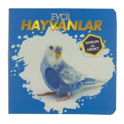 NURDAN /DOKUN VE HİSSET-EVCİL HAYVANLAR