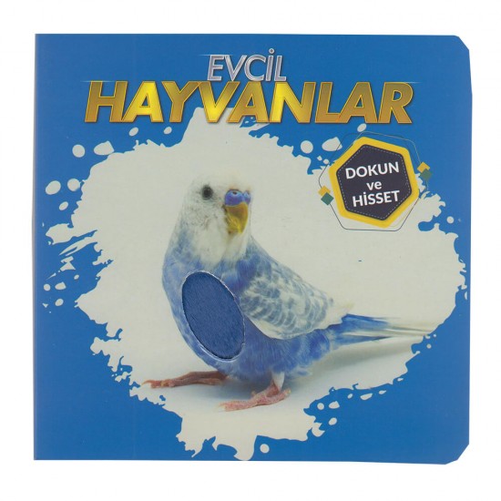 NURDAN /DOKUN VE HİSSET-EVCİL HAYVANLAR