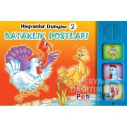 PATİ / BATAKLIK DOSTLARI